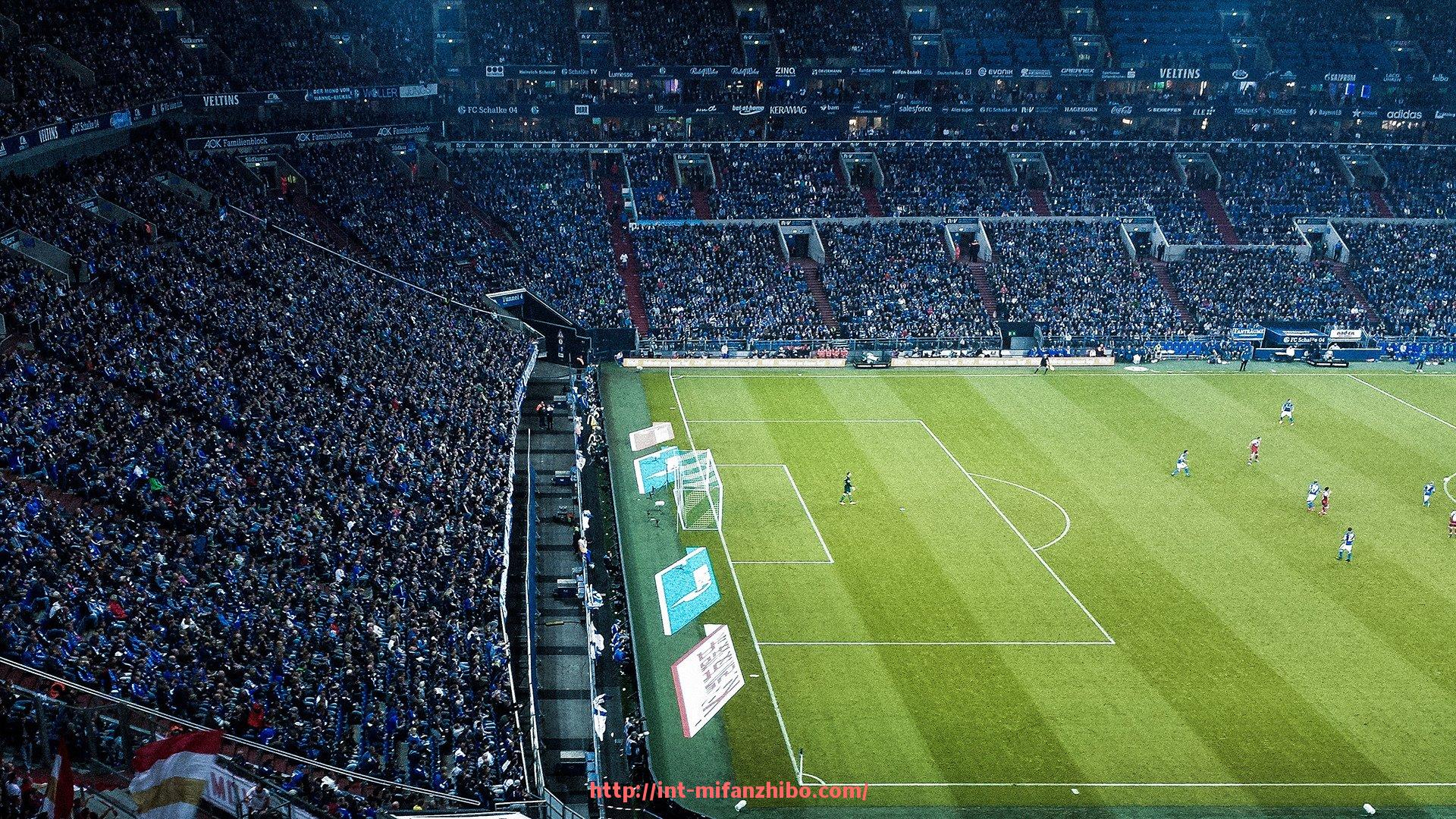 秘饭直播-如何使用健身器材锻炼胳膊？推荐几个有效的手臂训练器材